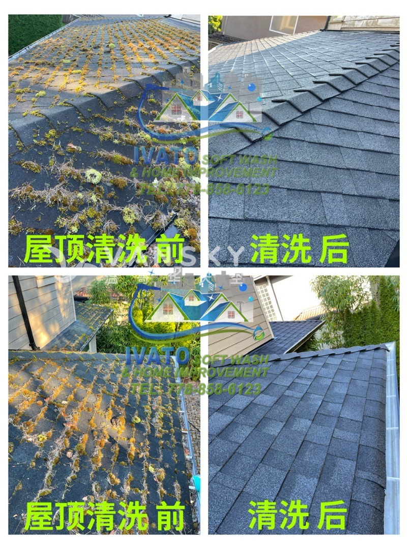 221101225712_01- Roof  Cleaning 06.2.jpg